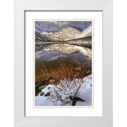 California, Sierra Nevada Spring at North Lake White Modern Wood Framed Art Print with Double Matting by Flaherty, Dennis