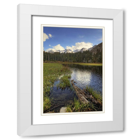 California, Sierra Nevada Weir Pond landscape White Modern Wood Framed Art Print with Double Matting by Flaherty, Dennis