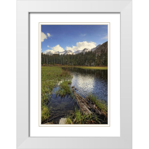 California, Sierra Nevada Weir Pond landscape White Modern Wood Framed Art Print with Double Matting by Flaherty, Dennis