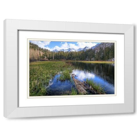 California, Sierra Nevada Weir Pond landscape White Modern Wood Framed Art Print with Double Matting by Flaherty, Dennis