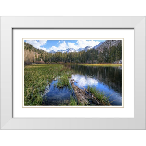 California, Sierra Nevada Weir Pond landscape White Modern Wood Framed Art Print with Double Matting by Flaherty, Dennis