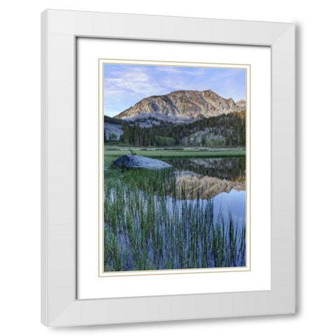 California, Sierra Nevada Grass Lake reflection White Modern Wood Framed Art Print with Double Matting by Flaherty, Dennis