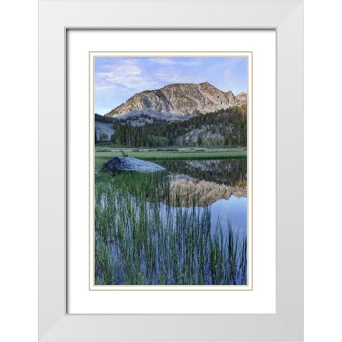 California, Sierra Nevada Grass Lake reflection White Modern Wood Framed Art Print with Double Matting by Flaherty, Dennis