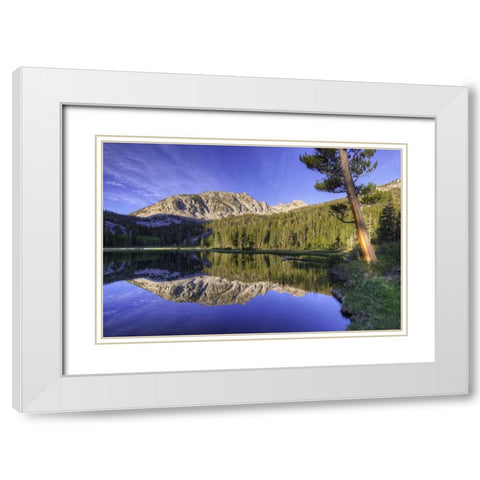 California, Sierra Nevada Grass Lake reflection White Modern Wood Framed Art Print with Double Matting by Flaherty, Dennis