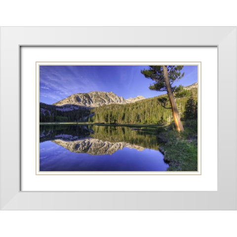 California, Sierra Nevada Grass Lake reflection White Modern Wood Framed Art Print with Double Matting by Flaherty, Dennis