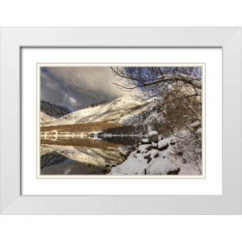 California, Sierra Nevada Spring at North Lake White Modern Wood Framed Art Print with Double Matting by Flaherty, Dennis