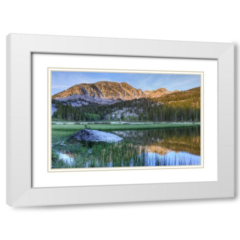 California, Sierra Nevada Grass Lake reflection White Modern Wood Framed Art Print with Double Matting by Flaherty, Dennis