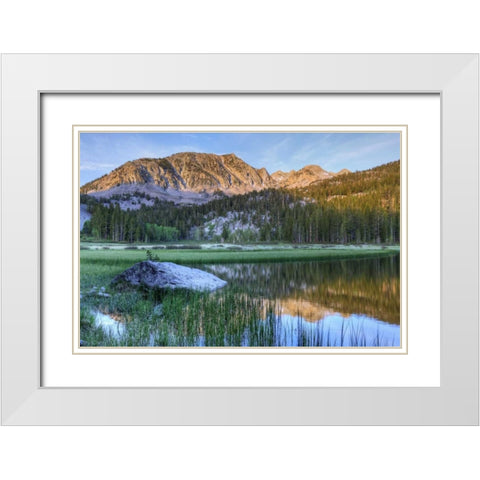 California, Sierra Nevada Grass Lake reflection White Modern Wood Framed Art Print with Double Matting by Flaherty, Dennis