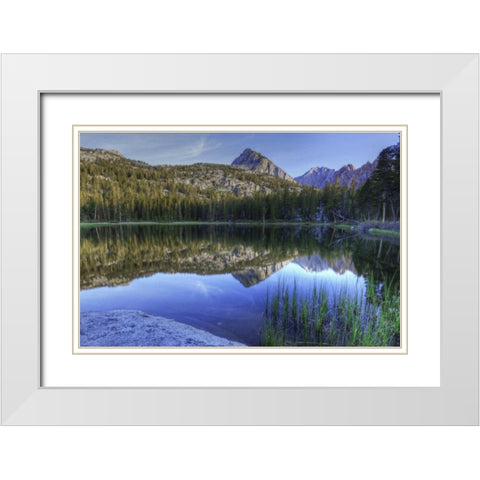 California, Sierra Nevada Grass Lake reflection White Modern Wood Framed Art Print with Double Matting by Flaherty, Dennis