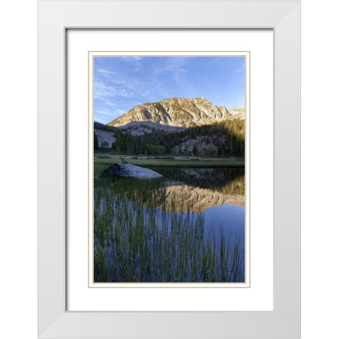 California, Sierra Nevada Grass Lake reflection White Modern Wood Framed Art Print with Double Matting by Flaherty, Dennis