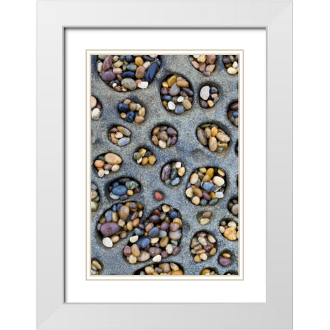 CA, Tafoni formation holes filled with pebbles White Modern Wood Framed Art Print with Double Matting by Delisle, Gilles
