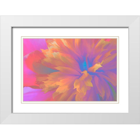 California Abstract of blooming peony flower White Modern Wood Framed Art Print with Double Matting by Jaynes Gallery