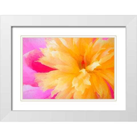California Abstract of blooming peony flower White Modern Wood Framed Art Print with Double Matting by Jaynes Gallery