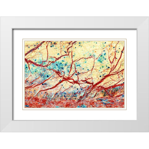 California Detail of marble rock patterns White Modern Wood Framed Art Print with Double Matting by Jaynes Gallery
