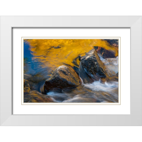 Usa-California Morning sun shines gold on the waters of the South Fork American River White Modern Wood Framed Art Print with Double Matting by Sederquist, Betty