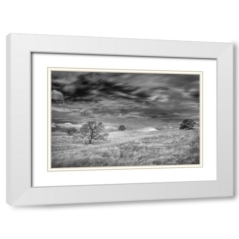 Infrared image of clouds-grasslands and oak trees in Amador County White Modern Wood Framed Art Print with Double Matting by Sederquist, Betty