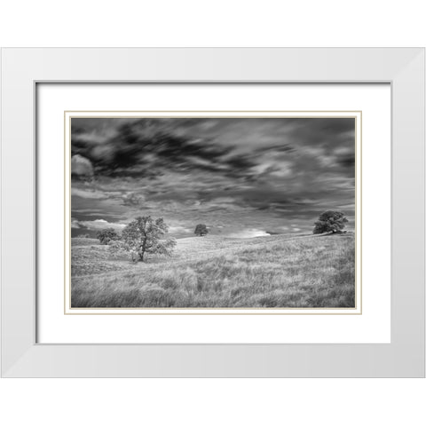 Infrared image of clouds-grasslands and oak trees in Amador County White Modern Wood Framed Art Print with Double Matting by Sederquist, Betty