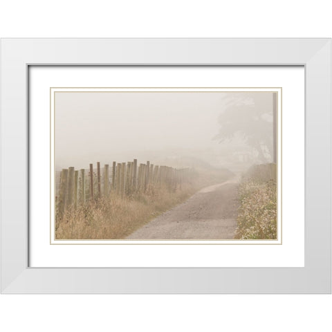 Usa-California Fog blankets this driveway at Point Reyes White Modern Wood Framed Art Print with Double Matting by Sederquist, Betty