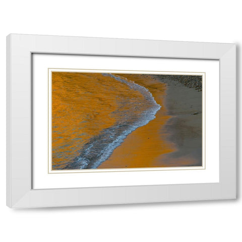 Usa-California The headlands of Point Reyes White Modern Wood Framed Art Print with Double Matting by Sederquist, Betty