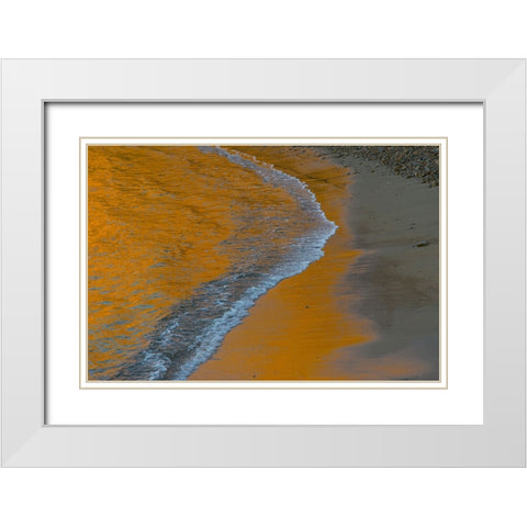 Usa-California The headlands of Point Reyes White Modern Wood Framed Art Print with Double Matting by Sederquist, Betty