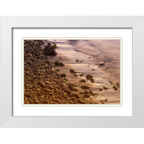 Usa-California The headlands of Point Reyes White Modern Wood Framed Art Print with Double Matting by Sederquist, Betty