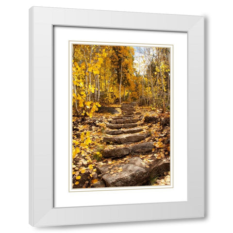 These stone stairs behind Sorensens Resort (now Wylder Hotel) White Modern Wood Framed Art Print with Double Matting by Sederquist, Betty