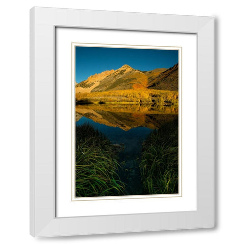 Usa-California-Sierra Nevada Morning sun lights up North Lake and the golden aspens beyond White Modern Wood Framed Art Print with Double Matting by Sederquist, Betty