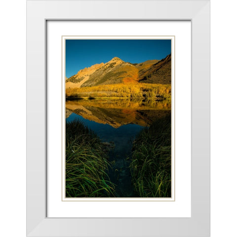 Usa-California-Sierra Nevada Morning sun lights up North Lake and the golden aspens beyond White Modern Wood Framed Art Print with Double Matting by Sederquist, Betty