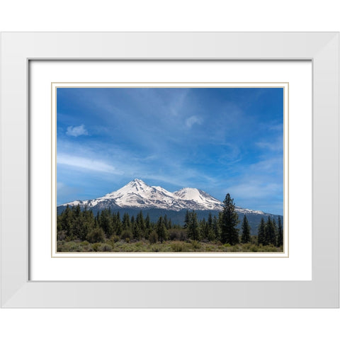 Mt. Shasta the tallest volcano in California. White Modern Wood Framed Art Print with Double Matting by Sederquist, Betty