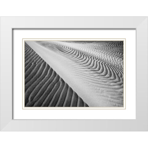 Dune Abstract-Death Valley White Modern Wood Framed Art Print with Double Matting by Ford, John