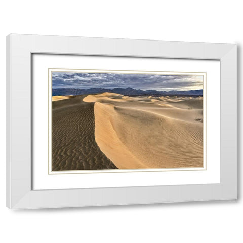 Mesquite Dunes-Death Valley National Park-California White Modern Wood Framed Art Print with Double Matting by Ford, John