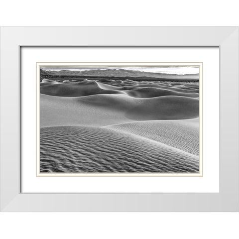 Mesquite Dunes-Death Valley National Park-California White Modern Wood Framed Art Print with Double Matting by Ford, John