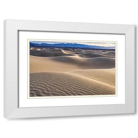 Mesquite Dunes-Death Valley National Park-California White Modern Wood Framed Art Print with Double Matting by Ford, John