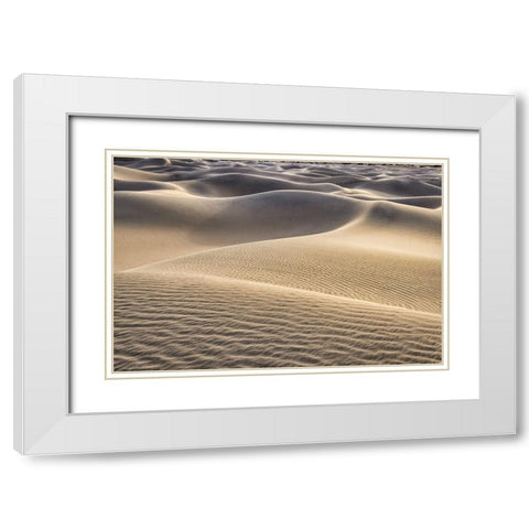 Mesquite Dunes-Death Valley National Park-California White Modern Wood Framed Art Print with Double Matting by Ford, John