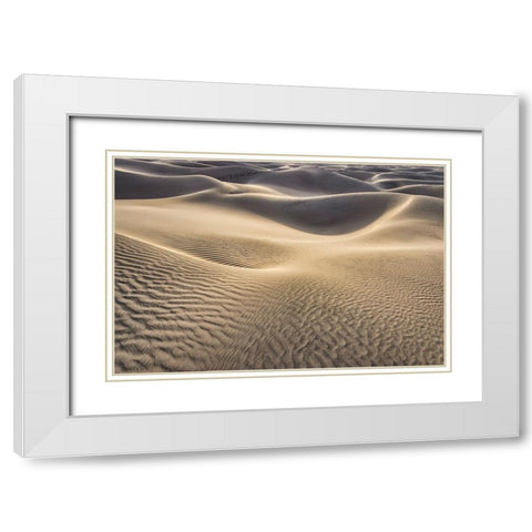 Mesquite Dunes-Death Valley National Park-California White Modern Wood Framed Art Print with Double Matting by Ford, John