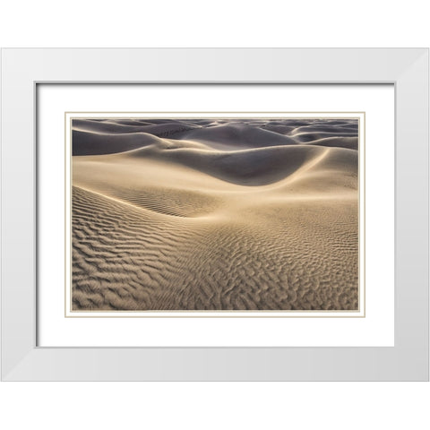 Mesquite Dunes-Death Valley National Park-California White Modern Wood Framed Art Print with Double Matting by Ford, John