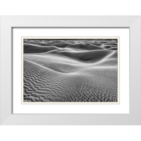 Mesquite Dunes-Death Valley National Park-California White Modern Wood Framed Art Print with Double Matting by Ford, John
