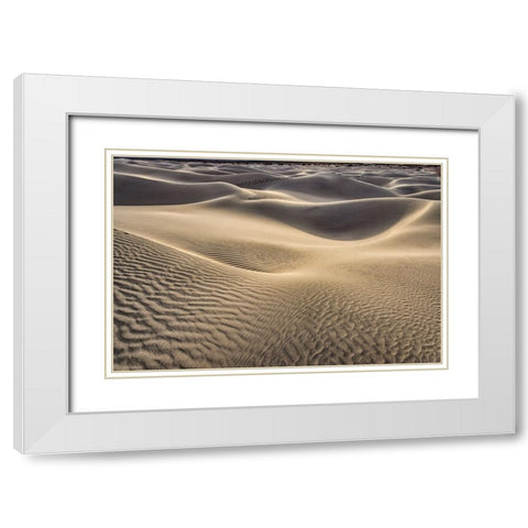 Mesquite Dunes-Death Valley National Park-California White Modern Wood Framed Art Print with Double Matting by Ford, John