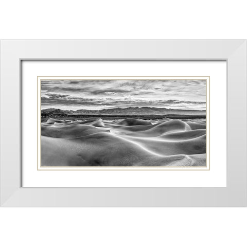 Mesquite Dunes-Death Valley National Park-California White Modern Wood Framed Art Print with Double Matting by Ford, John