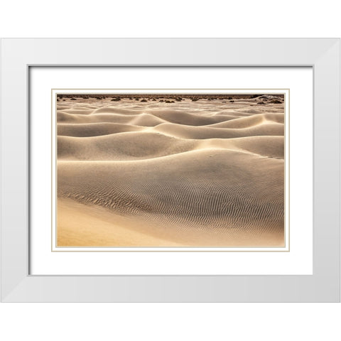 Mesquite Dunes-Death Valley National Park-California White Modern Wood Framed Art Print with Double Matting by Ford, John
