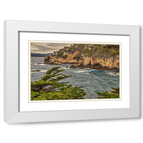 Point Lobos-Carmel-California White Modern Wood Framed Art Print with Double Matting by Ford, John