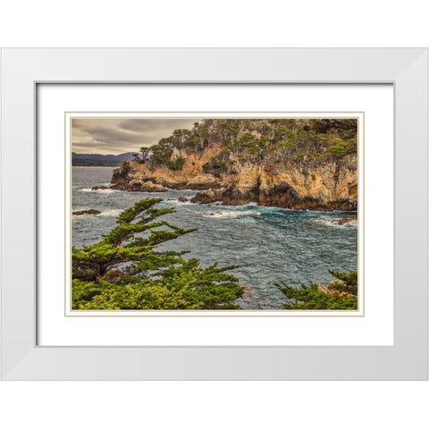 Point Lobos-Carmel-California White Modern Wood Framed Art Print with Double Matting by Ford, John