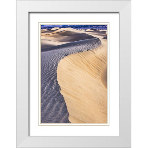 Mesquite Dunes-Death Valley National Park-California White Modern Wood Framed Art Print with Double Matting by Ford, John