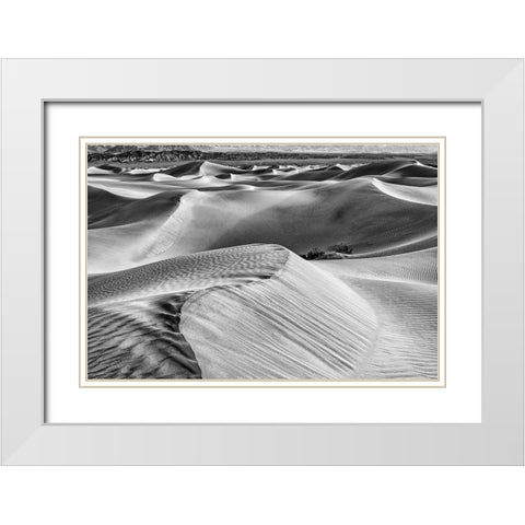 Mesquite Dunes-Death Valley National Park-California White Modern Wood Framed Art Print with Double Matting by Ford, John