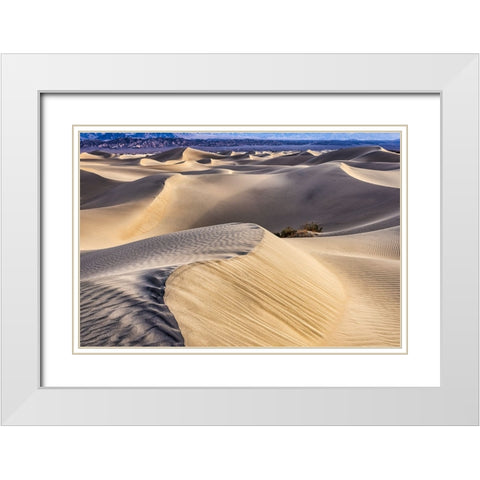 Mesquite Dunes-Death Valley National Park-California White Modern Wood Framed Art Print with Double Matting by Ford, John