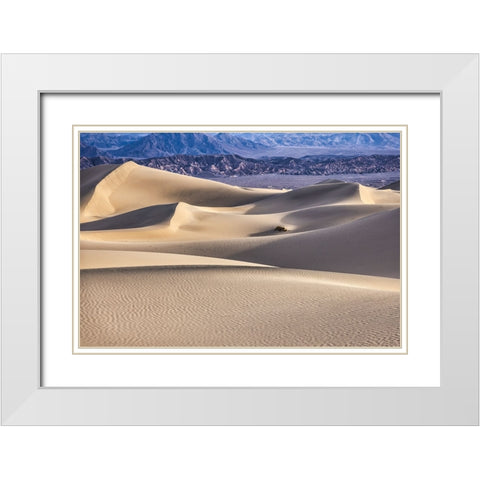 Mesquite Dunes-Death Valley National Park-California White Modern Wood Framed Art Print with Double Matting by Ford, John