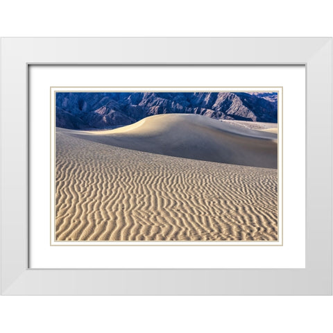 Mesquite Dunes-Death Valley National Park-California White Modern Wood Framed Art Print with Double Matting by Ford, John