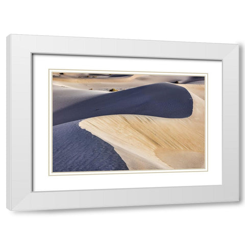 Mesquite Dunes-Death Valley National Park-California White Modern Wood Framed Art Print with Double Matting by Ford, John