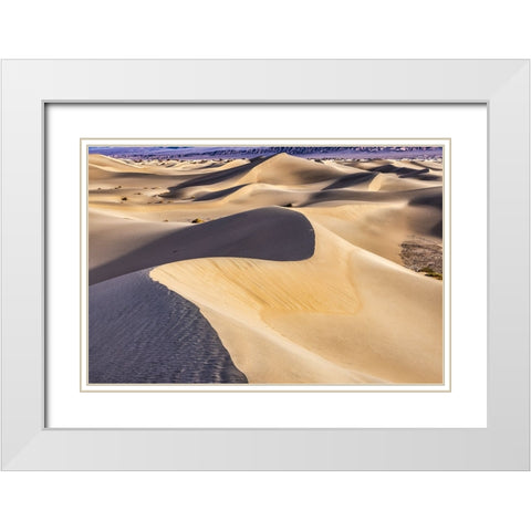 Mesquite Dunes-Death Valley National Park-California White Modern Wood Framed Art Print with Double Matting by Ford, John