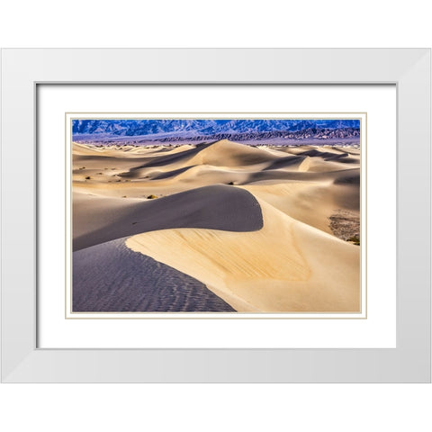 Mesquite Dunes-Death Valley National Park-California White Modern Wood Framed Art Print with Double Matting by Ford, John